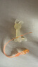 beedoll蓓兜嬰兒牙膠磨牙棒口欲期兔兔牙膠咬咬樂玩具硅膠4月齡+青檸黃 曬單實拍圖