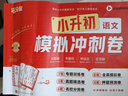 滿分星 小升初數(shù)學(xué)模擬沖刺卷 六年級(jí)小升初真題卷2025總復(fù)習(xí)人教版知識(shí)大集結(jié)沖刺卷 語(yǔ)文數(shù)學(xué)英語(yǔ)分班考試真題試卷全套 五年級(jí)下冊(cè)上冊(cè)黃岡期末復(fù)習(xí)資料銜接 2024模擬卷必刷題下冊(cè)分類卷 科學(xué)系統(tǒng)真卷 曬單實(shí)拍圖