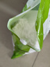食用小蘇打粉清潔 去污食品級家用 洗衣服刷牙食用堿多用途小舒達 小蘇打粉5.5斤*1袋 曬單實拍圖