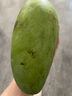 【超甜大芒果】新鮮當(dāng)季水果芒果大青芒 【1.5斤帶箱】單果200克+ 曬單實拍圖