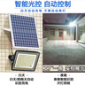 舒福佳（shufujia）太陽能照明燈庭院燈戶外防水農(nóng)村院子路燈LED投光燈天黑自動亮燈 曬單實拍圖