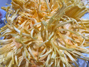 式果禮印尼紅紅肉菠蘿蜜【順豐到家】紅心菠蘿蜜波羅密整個(gè)果新鮮水果 14-15斤 精品A級(jí)果【稀有品種】 曬單實(shí)拍圖