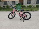 Nabiis那貝斯兒童自行車小孩3-6-7-8歲青少年學(xué)生鋁合金超輕單車16寸粉 曬單實(shí)拍圖