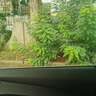 君用華為HiCar適用奧迪大眾奔馳沃爾沃車載互聯(lián)盒 MC3【TypeC迷你款】 曬單實拍圖