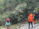 Naturehike挪客戶外背包防雨罩防水罩戶外騎行登山雙肩書包防水套防塵罩超輕 50-75L/橘紅/L 曬單實(shí)拍圖