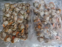 冷凍扇貝肉 40-60個(gè)/斤規(guī)格 無(wú)冰 新鮮扇貝 冷凍扇貝肉500g*5【5斤大號(hào)扇貝肉】 曬單實(shí)拍圖