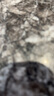 得力（deli）80*50mm 960張*18卷 薄荷海三防熱敏標(biāo)簽紙 快遞面單不干膠打印紙 ZG165【適配3寸標(biāo)簽機(jī)720C等】 曬單實(shí)拍圖