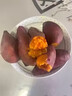 傾睦正宗福建六鰲蜜薯漳州紅皮紅心紅薯板栗甜薯番薯沙地現(xiàn)挖新鮮地瓜 5斤禮盒裝大薯【單果150g起】 曬單實(shí)拍圖