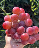 山姆伯伯妮娜皇后葡萄【順豐空運(yùn)-多地次日達(dá)】陽(yáng)光紅玫瑰提子水果送禮盒 3斤裝【較劃算】20%選擇 凈2斤 5A級(jí)優(yōu)選果丨單果約8-10g+ 曬單實(shí)拍圖