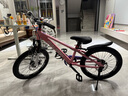 RALEIGH蘭令兒童自行車(chē)山地車(chē)適合6-14-10-12歲輕便女孩兒男孩大童小學(xué)生 蘭橘色 20英寸 (建議120-135cm) 曬單實(shí)拍圖