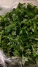 艾草新鮮食用蔬菜現(xiàn)摘清明草粑粑青團(tuán)3斤順豐艾葉新鮮艾草葉 【順豐快遞】 2500g 曬單實(shí)拍圖