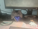 飛智八爪魚5 無線游戲手柄 力調(diào)節(jié)合金搖桿Switch類xbox藍(lán)牙體感PC電腦ns電視Steam 曬單實(shí)拍圖