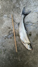 仿生串鉤翹嘴白條釣組魚皮假餌夜光魚鉤誘魚套裝路亞亮片蝦皮串鉤 10付【紅皮6鉤】—無鉛墜 10號 曬單實拍圖