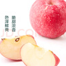 產(chǎn)地直采 甘肅秦安霜降富士蘋果4粒 約900g 曬單實(shí)拍圖