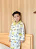 俞兆林（YUZHAOLIN）兒童睡衣男童秋季家居服開衫套裝中小童純棉衣服童裝 涂鴉森林 曬單實(shí)拍圖