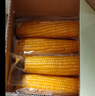佳農(nóng) 內(nèi)蒙黃糯玉米棒8袋*220g 軟糯香甜 真空鎖鮮 源頭直發(fā) 禮盒包郵 曬單實(shí)拍圖