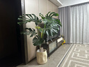 愛優(yōu)尚龜背竹盆栽客廳室內(nèi)辦公室大型綠植盆景凈化空氣吸甲醛源頭直發(fā) 曬單實拍圖