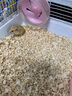倉(cāng)鼠皮膚病藥神仙水真菌感染皮蘚瘙癢掉毛爛腳紅腫濕疹用品噴霧劑 一瓶裝【一噴見(jiàn)?！?曬單實(shí)拍圖