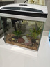 長銳魚缸一體缸自循環(huán)免換水家用客廳桌面小型金魚缸超白玻璃養(yǎng)魚缸 超白CRV280標準款+水蘭青竹景（真水草） 曬單實拍圖