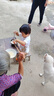 愛他美（Aptamil）卓傲幼兒配方奶粉3段（12—36月齡）800g*3罐  愛他美卓傲 曬單實(shí)拍圖