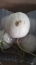 【只賣品質(zhì)】正宗玉菇甜瓜新鮮頭茬冰淇淋 新鮮水果當(dāng)季香甜 【精品裝】 9斤帶箱(8.5斤凈重)3-6個(gè) 曬單實(shí)拍圖