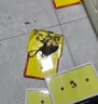 【高潔士】同城預約上門滅鼠滅蟑螂服務 殺蟑螂藥除蟑專業(yè)殺蟲公司滅鼠滅老鼠除老鼠除螞蟻殺螞蟻到家服務 成都 預約金 曬單實拍圖
