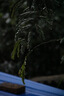 佳能 Canon 750D 760D 800D 850D 半畫幅 入門級二手單反數(shù)碼相機(jī) 入門單反 佳能750D（18-135 IS 套機(jī) 99成新 曬單實拍圖