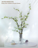 匠心綻放雪柳仿真花高檔輕奢仿真花束裝飾花茶館民宿客廳花卉白色3支20113 曬單實(shí)拍圖