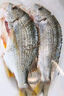 哆鮮生 活凍黃翅魚(yú) 野外海捕黃鰭鯛黃腳立魚(yú) 三去國產(chǎn)生鮮冷凍魚(yú)類(lèi) 2-3條/袋 凈重400g 曬單實(shí)拍圖