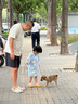 貝初眾狗狗廁所防踩屎中小型犬寵物尿盆狗沙砂盆狗拉屎神器泰迪柴犬馬桶 白色15mm網(wǎng)格【3-5斤+鏟子】 【容易清洗/分離設計/加高邊框】 曬單實(shí)拍圖