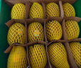 佳沛（zespri）新西蘭 陽光金奇異果12粒禮盒特大果單果約122-146g 獼猴桃 水果 曬單實拍圖