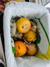 正宗麻陽冰糖橙新鮮水果精品農(nóng)家橙子應(yīng)季手剝橙當(dāng)季現(xiàn)摘現(xiàn)發(fā)批發(fā) 爆甜熱賣:帶箱4-5斤【精選裝】 曬單實(shí)拍圖