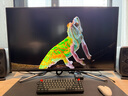 ROG玩家國度華碩XG43UQ PG43UQ電競4K游戲液晶顯示器 43英寸PS5電腦144HZ XG43UQ/43寸/VA/4K/144Hz 【拆封款】一年質(zhì)保(聯(lián)系客服享贈(zèng)品) 曬單實(shí)拍圖