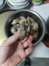 鯨甘郎純鮑魚(yú)肉鮮活冷凍大鮑魚(yú)加工熟凍三去免處理無(wú)殼新海鮮小鮑魚(yú)送禮 【約25頭】三去鮑魚(yú)肉毛重1斤 曬單實(shí)拍圖