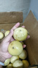 海南欽蜜9號黃金百香果啟鴻 新鮮水果純甜 如蜜 40個裝（30-45g） 曬單實拍圖