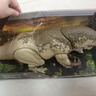 玩具反斗城（TOYSRUS）玩具反斗城美泰侏羅紀世界統治電影大型聲效攻擊AR互動(dòng)模型玩具 畸變霸王龍14872 曬單實(shí)拍圖