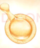 伊麗莎白雅頓眼膠眼部精華液10.5ml約60粒淡化細紋神經(jīng)酰胺新年禮【臨期清倉】 曬單實拍圖