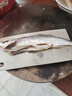 翹嘴魚(yú)大白刁子魚(yú)干干貨500g淡水白魚(yú)干風(fēng)干魚(yú)餐條魚(yú)腌制年貨 大刁子魚(yú)干 500g 15cm及以上 曬單實(shí)拍圖