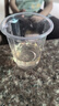 恬橙 脾氨肽口服飲液凍干粉含維生素C 牛脾肽兒童益生菌營養(yǎng)素 4盒1個月體驗裝 曬單實拍圖