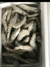 鮮京采 原裝進(jìn)口厄瓜多爾白蝦 凈重3.3斤 大號(hào)30-40規(guī)格 50-66只/盒 曬單實(shí)拍圖