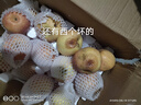 蔬教授正宗陜西紅富士蘋果新鮮水果當(dāng)季整箱紅富士冰糖心一級(jí)脆甜 9斤精選大果 曬單實(shí)拍圖