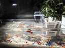 BESSN魚缸底砂魚缸造景裝飾小擺件玻璃沙子魚缸石頭水族造景石子玻璃砂 七彩玻璃砂【1斤裝】 曬單實(shí)拍圖