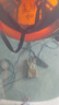 電焊面罩安全帽式焊工防護(hù)面具防烤臉全臉頭戴式焊帽面屏防護(hù)罩 灰色屏+升級(jí)鋁支架 曬單實(shí)拍圖
