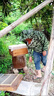 掰玉米防刮臉衣服甘蔗地專(zhuān)用防護服掰玉米丫神器農村防護服下地干活收玉米遮陽(yáng)帽透氣防曬服防蚊蟲(chóng)蜜蜂衣服 【小花色】加厚防護服+網(wǎng)紗帽 曬單實(shí)拍圖