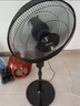 格力（GREE）電風(fēng)扇家用大風(fēng)量落地扇立式節(jié)能電扇客廳臥室宿舍搖頭定時(shí)空氣循環(huán)風(fēng)扇臺(tái)地兩用排氣扇空調(diào)伴侶 【黑色】16吋大扇葉大風(fēng)量經(jīng)典款 4012-WG 曬單實(shí)拍圖