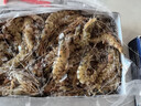 竹節蝦 特大蝦類(lèi) 鮮活海捕速凍大斑節蝦九節蝦對蝦海鮮水產(chǎn)生鮮 竹節蝦小號  10只/ 350g(凈重)  350g/盒 *2盒 多地次日達 曬單實(shí)拍圖