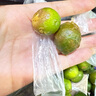 澤鮮達(dá)海南新鮮小青金桔小金橘 新鮮小青橘子檸檬奶茶店專用小青桔整箱 1斤裝 曬單實(shí)拍圖