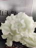 瑪朵維汀百財(cái)聚來玉白菜擺件招財(cái)元寶客廳玄關(guān)電視柜高檔裝飾喬遷開業(yè)禮物 小號(hào)百財(cái)聚來紅花冰玉色 曬單實(shí)拍圖