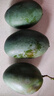 京鮮生 攀枝花凱特芒果 凈重4.5斤 帶箱5斤 單果400g+ 生鮮水果源頭直發(fā) 曬單實(shí)拍圖