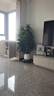 愛優(yōu)尚八方來財鴨腳木客廳大型綠植盆栽室內(nèi)吸甲醛喬遷發(fā)財樹源頭直發(fā) 曬單實拍圖